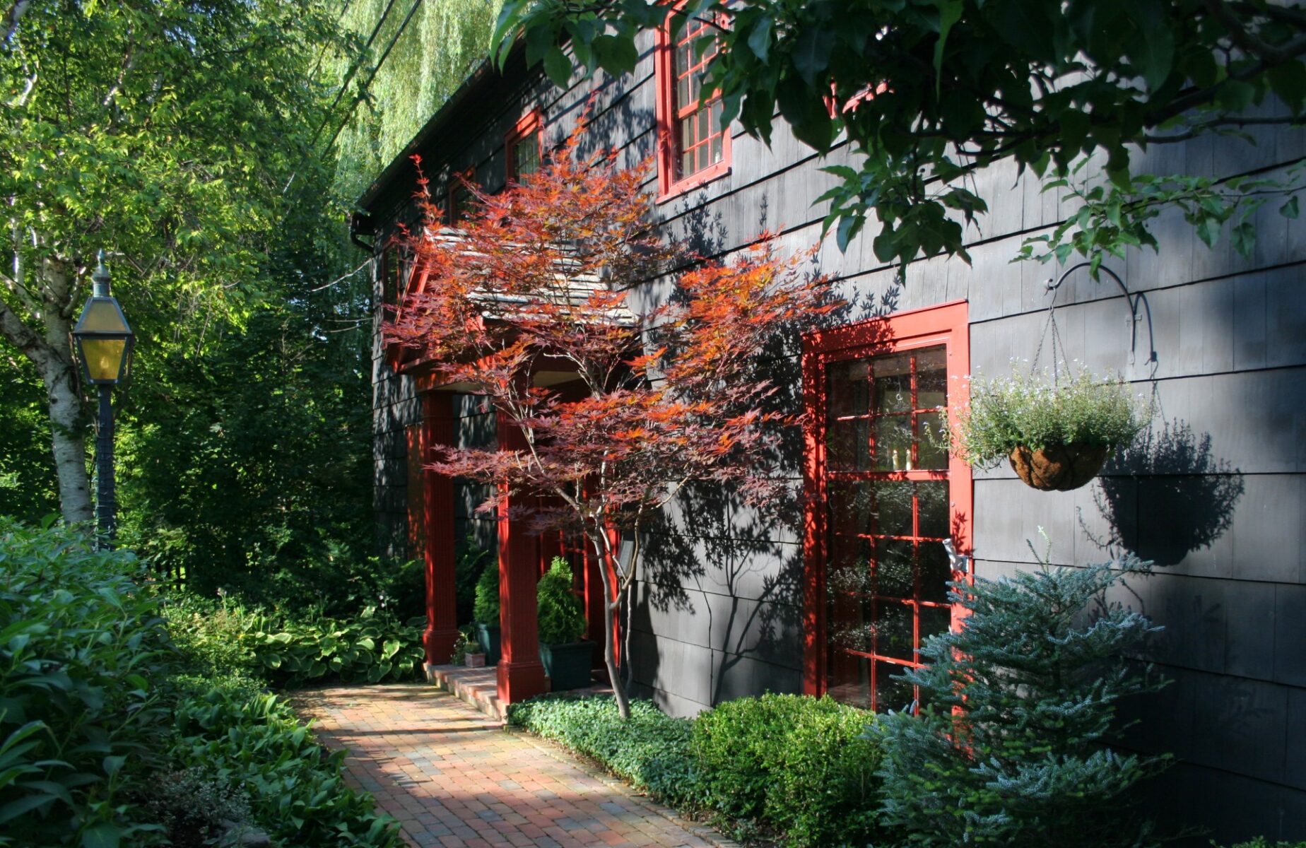 A house with a walkway leading to it is surrounded by trees and bushes.
